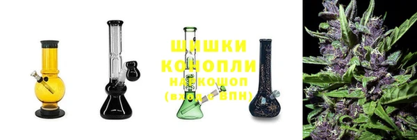 спиды Богородск