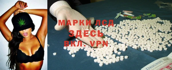 спайс Богданович