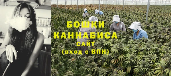 mdma Богородицк