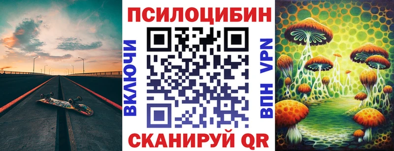 ссылка на мегу маркетплейс Сланцы Псилоцибиновые грибы Cubensis